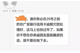琼海为什么选择专业追讨公司来处理您的债务纠纷？